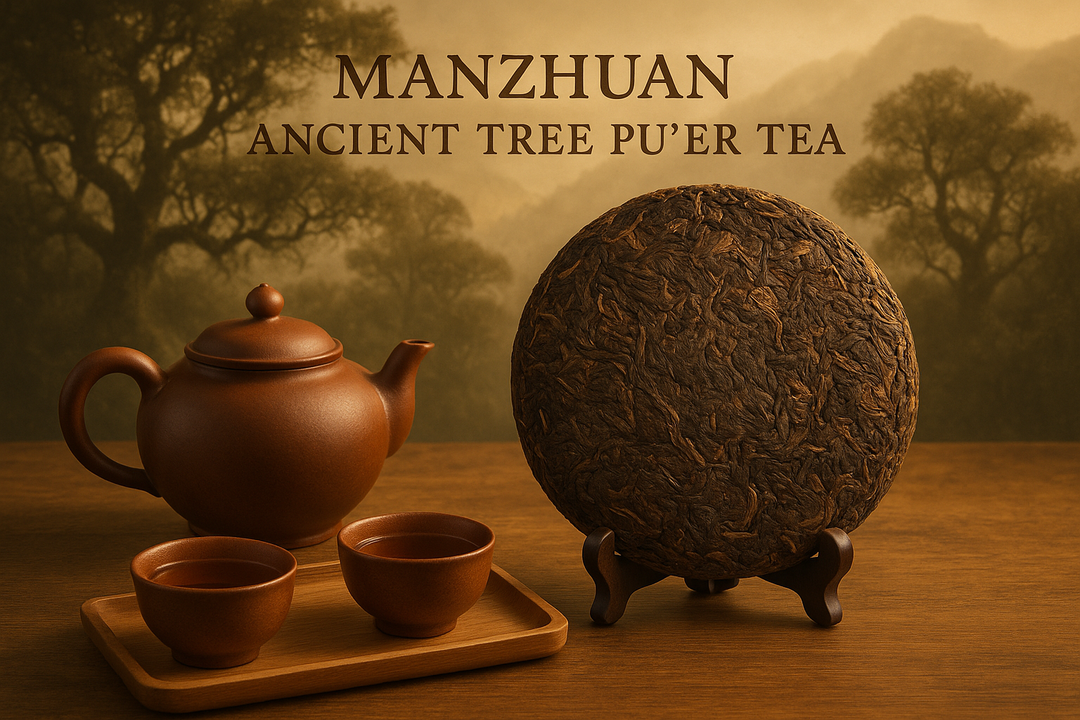 How to Brew Manzhuan Ancient Tree Pu’er Tea