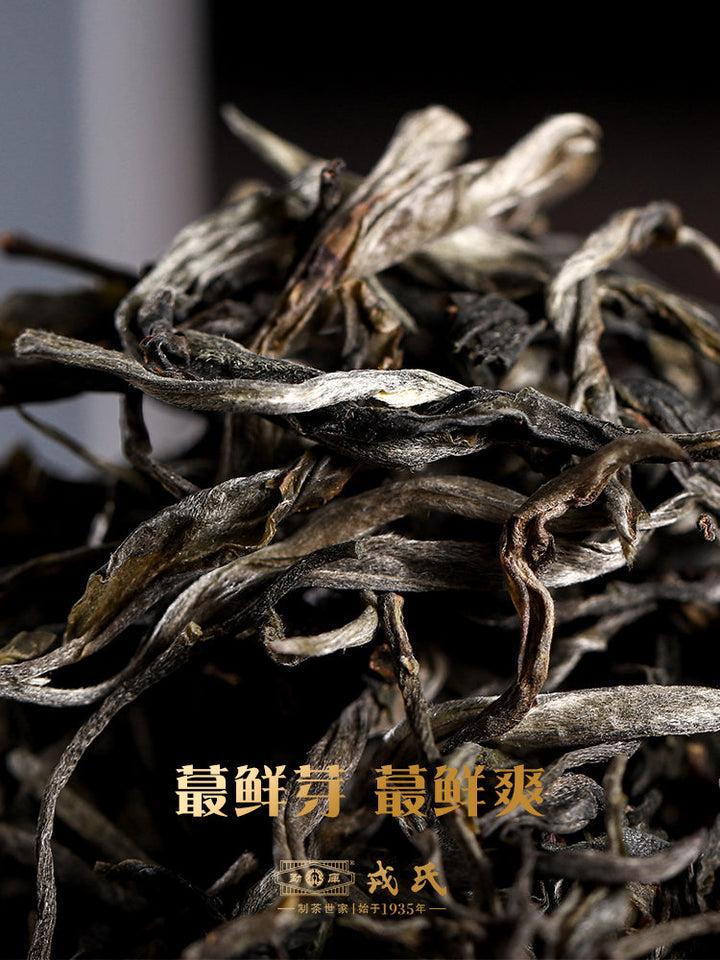 2022 MengKu RongShi "Tou Cai - Ji Shao Shu" (1st Picking - Rare Tree) Cake 8g / 357g 100g, Loose Leaf 100g / Cylinder 600g Puerh Raw Tea Sheng Cha