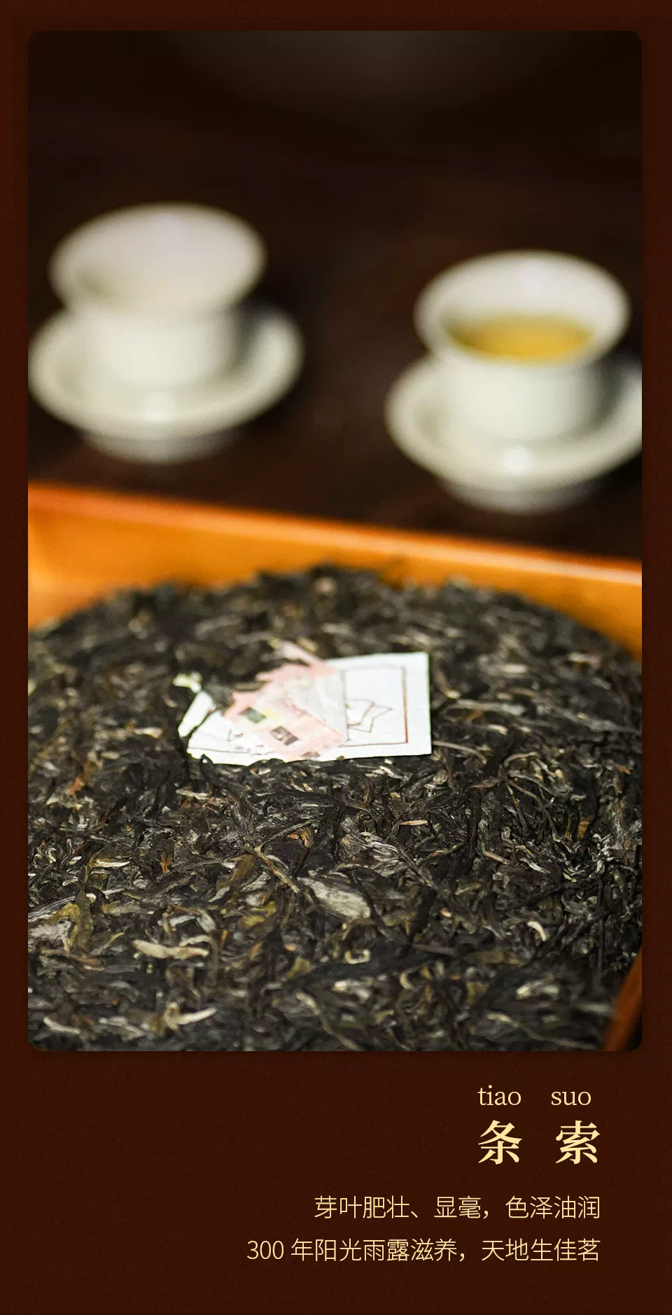 2022  ChenShengHao "Sui Yin Chen Sheng" (Year Mark - Chensheng) Cake 750g + Brick 750g Puerh Raw Tea Sheng Cha