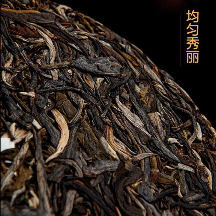 2022 MengKu RongShi "Mu Shu Cha" (Mother Tree) Cake 8g / 200g / 500g Puerh Raw Tea Sheng Cha