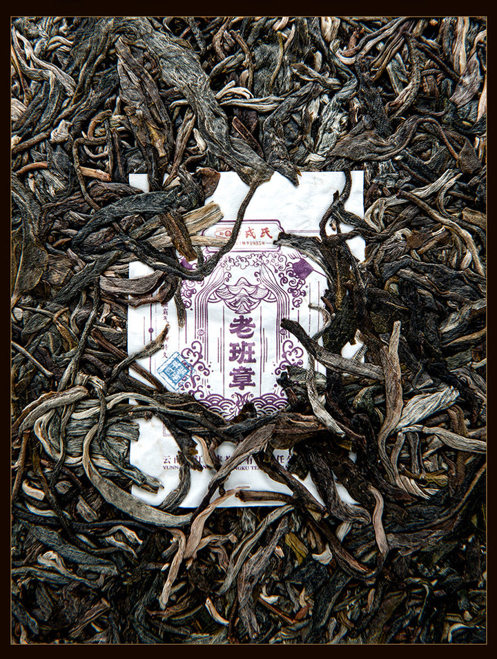 2022 MengKu RongShi "Lao Ban Zhang" (LaoBanZhang) Dragon 8g / Cake 357g Puerh Raw Tea Sheng Cha