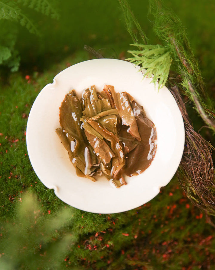 2025 XiaGuan "Da Xue Shan + Wu Liang Shan · Mi Jing - Long Zhu" (Big Snow Mountain + Wuliang Mountain · Secret Place ~ 18 Yr Aged ~ LinCang + Pu'Er Region - Dragon Ball) Tuo 160g/Box Puerh Raw Tea Sheng Cha