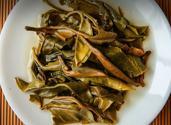 2024 XiaGuan "Yue Guang Bai" (Moon Light White) White Tea Cake 200g Jinggu, Yunnan