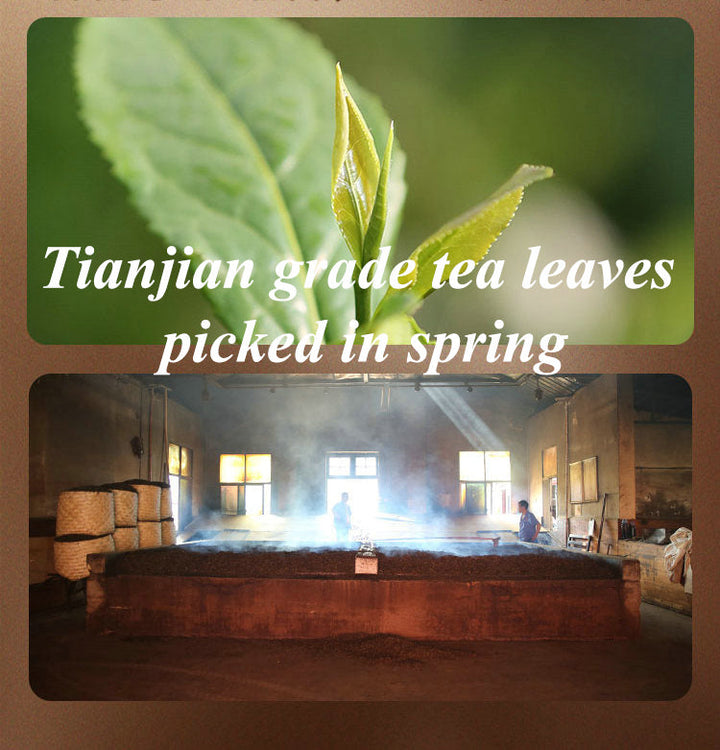 2017, 2019, 2021 BaiShaXi "Tian Fu Cha" (Golden Flower Tianjian Fucha) Brick 1000g Fu Tea. Dark Tea