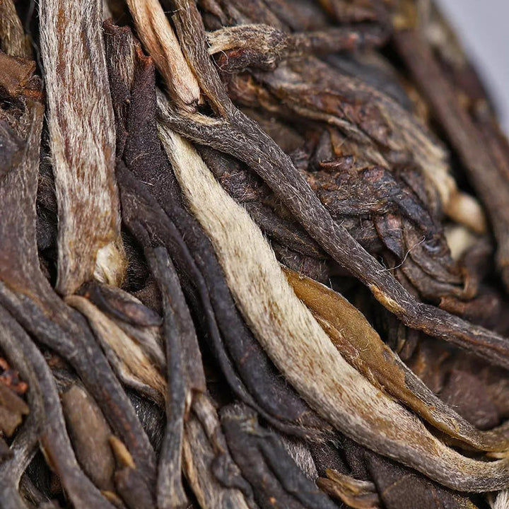 2019 LaoTongZhi "7548 - Classical Version" Cake 357g Puerh Sheng Cha Raw Tea