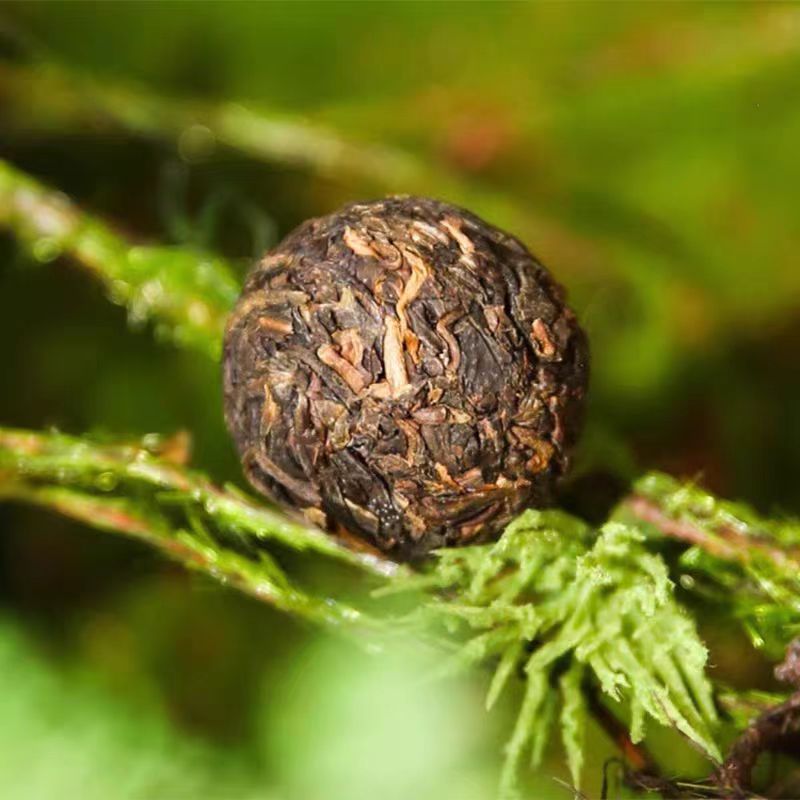 2025 XiaGuan "Da Xue Shan + Wu Liang Shan · Mi Jing - Long Zhu" (Big Snow Mountain + Wuliang Mountain · Secret Place ~ 18 Yr Aged ~ LinCang + Pu'Er Region - Dragon Ball) Tuo 160g/Box Puerh Raw Tea Sheng Cha