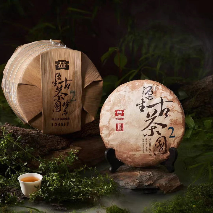 2025 DaYi "Yuan Sheng Gu Cha Yuan - Da 2" (Primal Ancient Tea Garden - Big 2) Cake 357g Puerh Sheng Cha Raw Tea