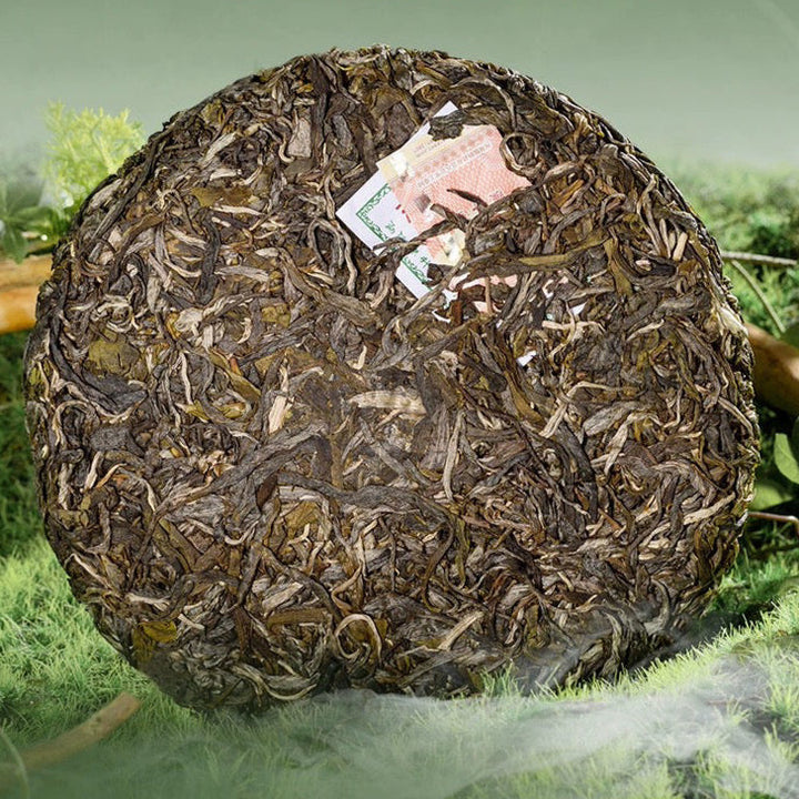 2024 ChenShengHao "Lao Ban Zhang" (LaoBanzhang) Cake 357g Puerh Raw Tea Sheng Cha