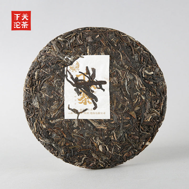 2023 Xiaguan "Yi Wu - Ding Jia Zhai - Gu Shu" (Yiwu - Dingjia Village - Old Tree) 280g Puerh Raw Tea Sheng Cha