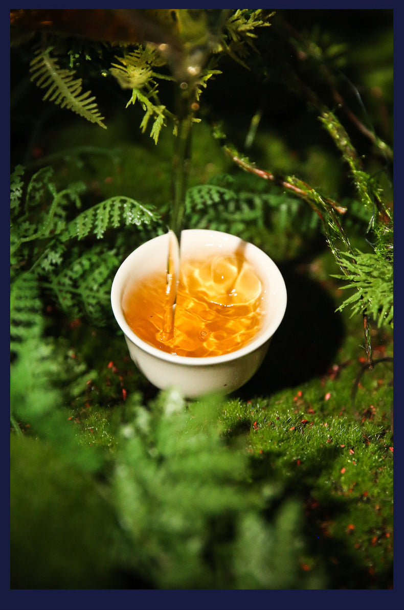2025 XiaGuan "Da Xue Shan + Wu Liang Shan · Mi Jing - Long Zhu" (Big Snow Mountain + Wuliang Mountain · Secret Place ~ 18 Yr Aged ~ LinCang + Pu'Er Region - Dragon Ball) Tuo 160g/Box Puerh Raw Tea Sheng Cha