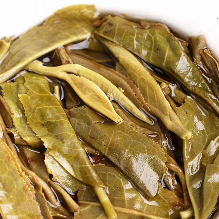 2019 LaoTongZhi "7548 - Classical Version" Cake 357g Puerh Sheng Cha Raw Tea