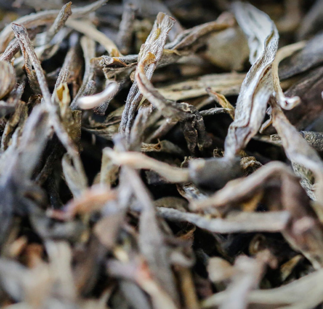 2022 Xiaguan "Jia Tuo - 120 Year's Commemoration Version" 100g*5pcs Puerh Raw Tea Sheng Cha