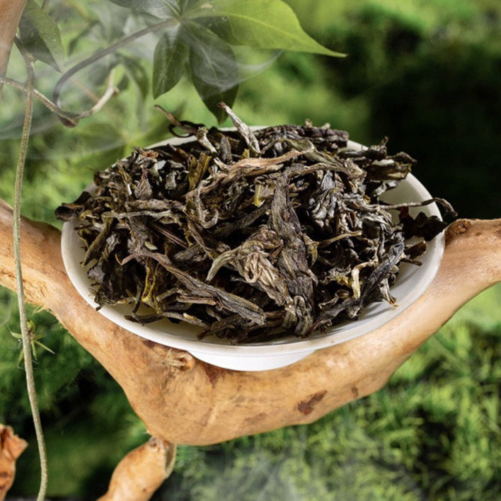 2024 ChenShengHao "Lao Ban Zhang" (LaoBanzhang) Cake 357g Puerh Raw Tea Sheng Cha