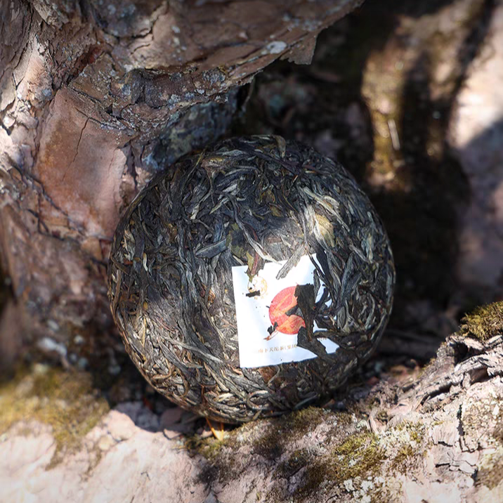 2025 XiaGuan "Yan Zi Tou - Gu Shu Cha" (Yanzitou - Old Tree) 250g Puerh Sheng Cha Raw Tea
