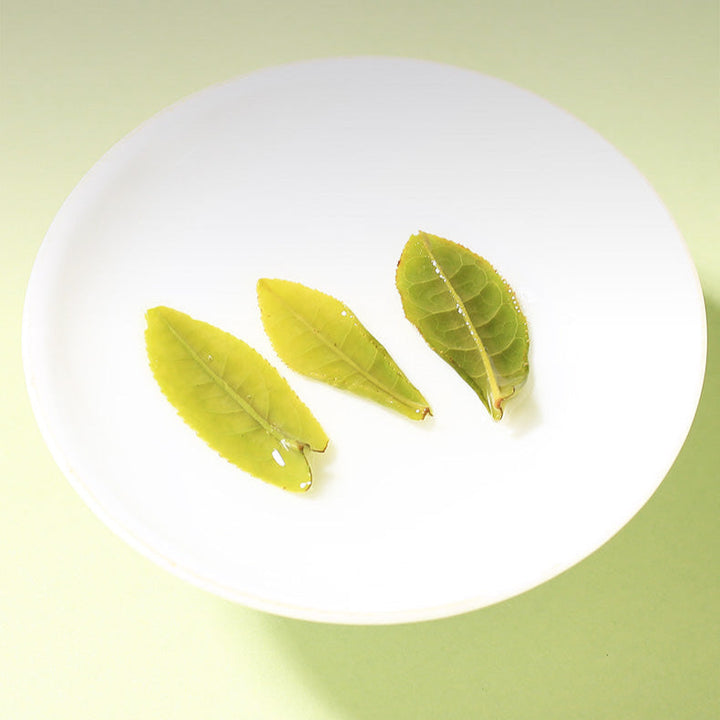2025 Hui Liu "Lu An Gua Pian - Te Er Ji" (Lu'an Guapian - Special 2nd Grade) 50g/Tin, Green Tea, Lv Cha, AnHui Province.