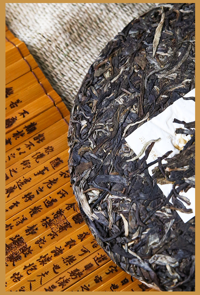 2023 Xiaguan "Yi Wu - Ding Jia Zhai - Gu Shu" (Yiwu - Dingjia Village - Old Tree) 280g Puerh Raw Tea Sheng Cha