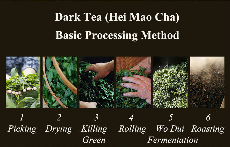 2017, 2019, 2021 BaiShaXi "Tian Fu Cha" (Golden Flower Tianjian Fucha) Brick 1000g Fu Tea. Dark Tea