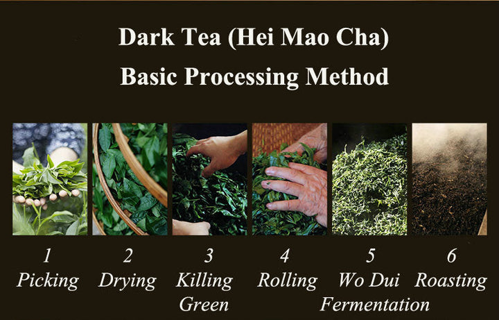 2017, 2019, 2021 BaiShaXi "Tian Fu Cha" (Golden Flower Tianjian Fucha) Brick 1000g Fu Tea. Dark Tea