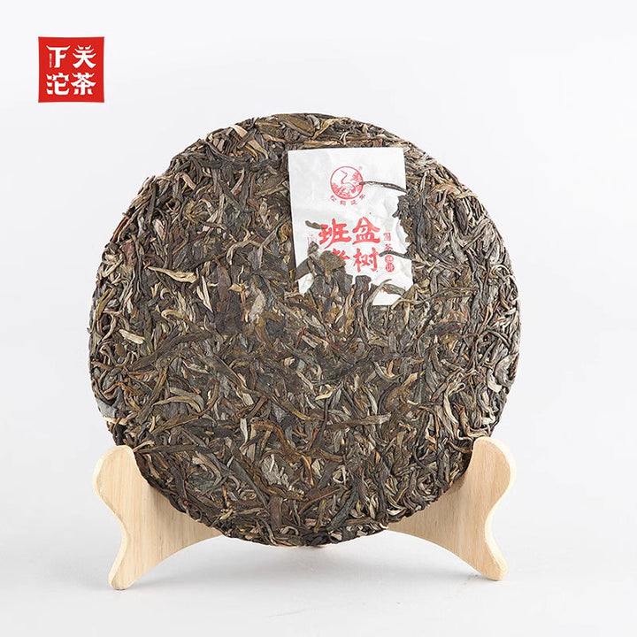 2020 Xiaguan "Ban Pen Lao Shu" (Banpen Old Tree) 357g Puerh Raw Tea Sheng Cha