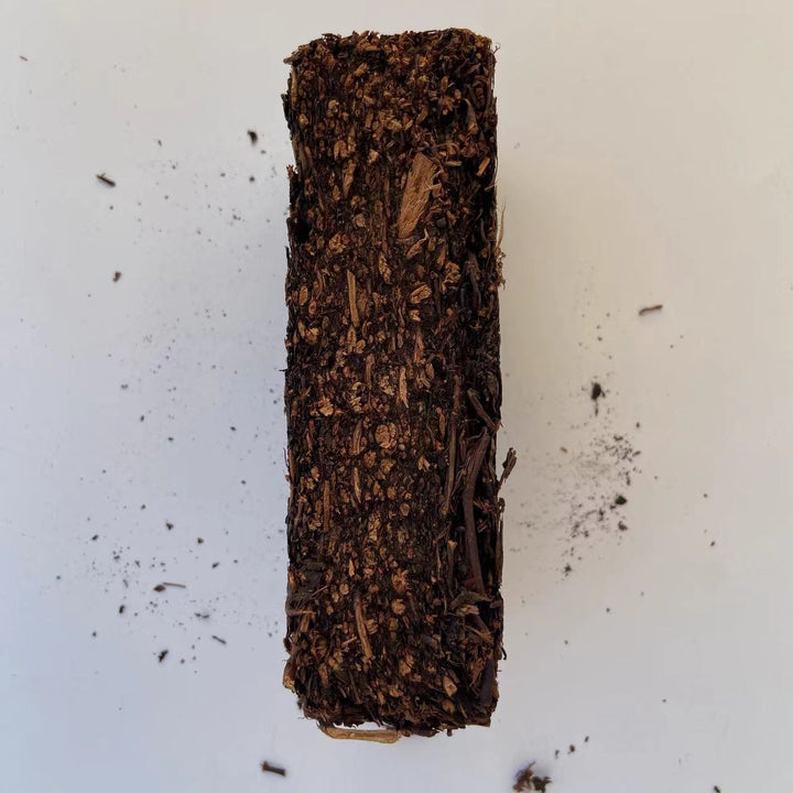 2003 CNNP - BaiShaXi "Hei Zhuan Cha" (Dark Brick Tea) 400g, Hunan Province