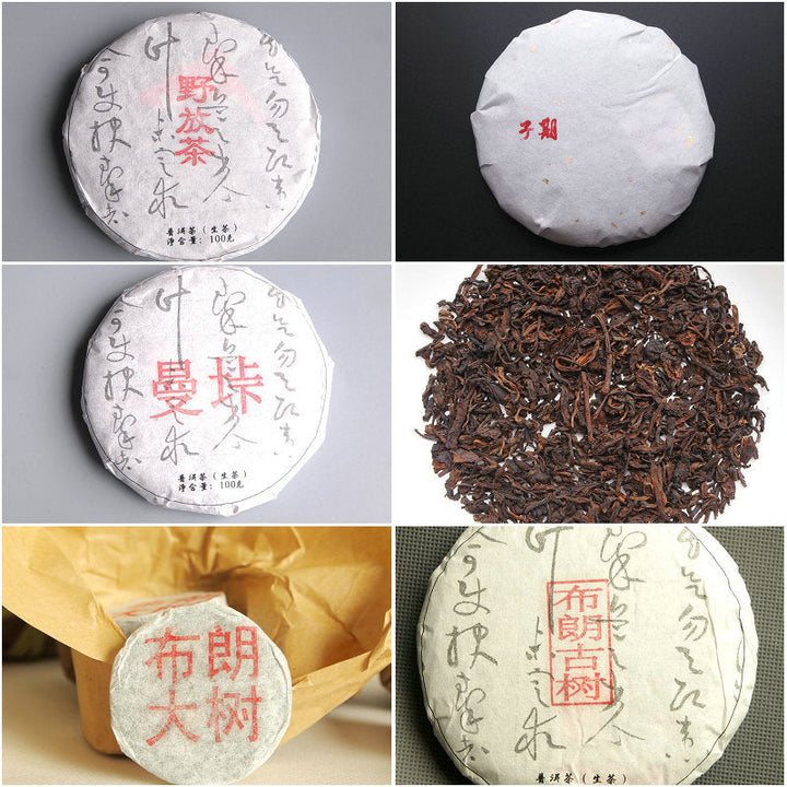 TMK "Sample Set of Sheng Puerh" Including 18 kinds of Raw Tea Sheng Cha, Total 190g