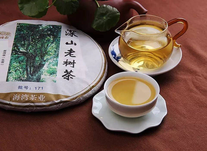 2017 LaoTongZhi "Shen Shan Lao Shu" (High Mountain Old Tree) Cake 500g Puerh Raw Tea Sheng Cha