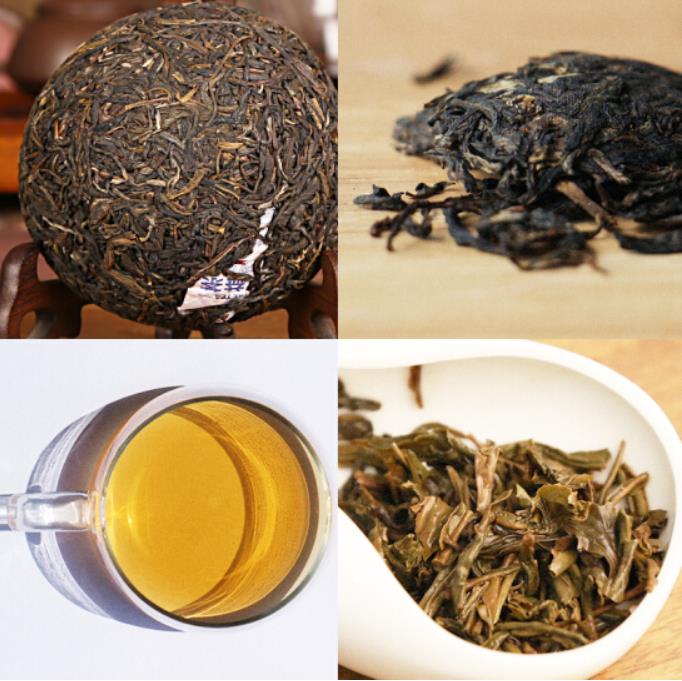 2010 DaYi "Gong Tuo" (Tribute) Tuo 100g Puerh Sheng Cha Raw Tea