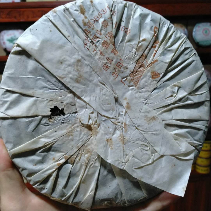 2005 ChangTai "Ban Na Yun Wu Yuan Cha" (Banna Cloudy Foggy Wild Tea) Cake 400g Puerh Raw Tea Sheng Cha