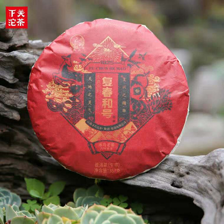 2019 Xiaguan " FCH - Bing Dao" (Bingdao Old Tree) Cake 357g Puerh Raw Tea Sheng Cha