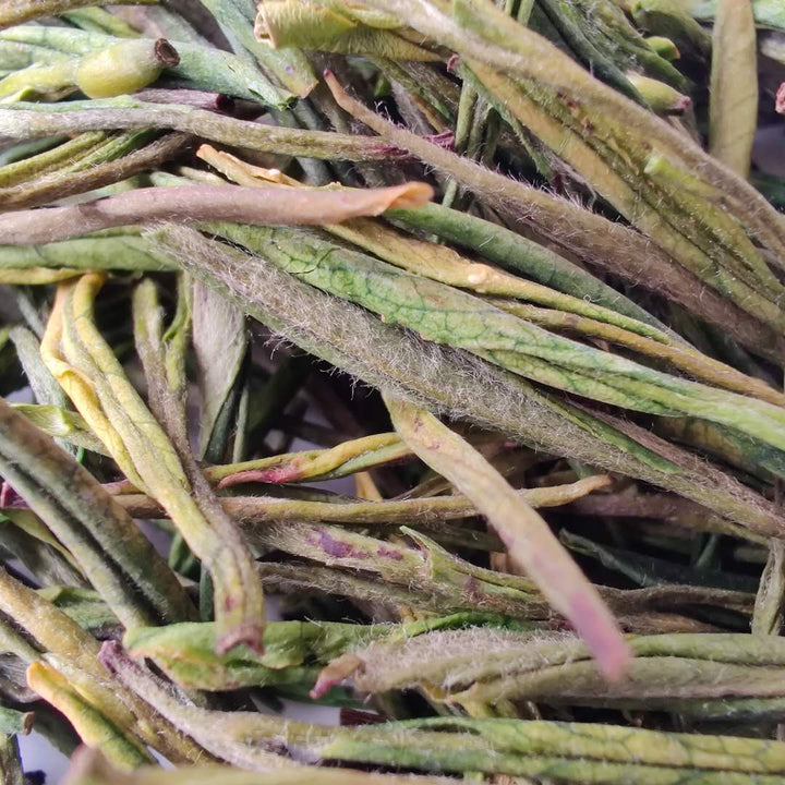 2020 Early Spring " An Ji Bai Cha "(AnJi BaiCha) High Grade Green Tea Zhejiang