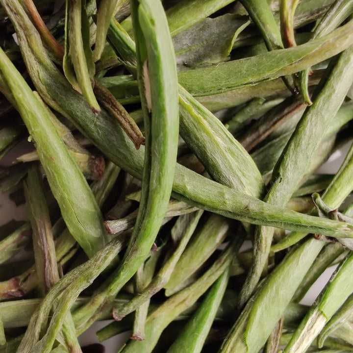 2020 Early Spring " Zhu Ye Qing "(ZhuYeQing) High Grade Green Tea Sichuan