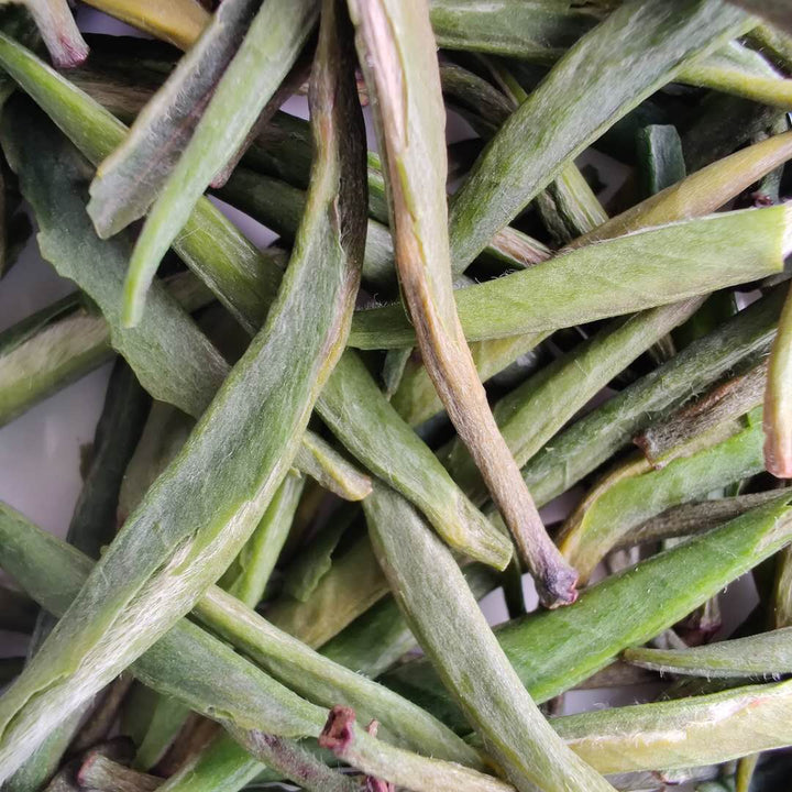 2020 Early Spring " Zhu Ye Qing "(ZhuYeQing) High Grade Green Tea Sichuan