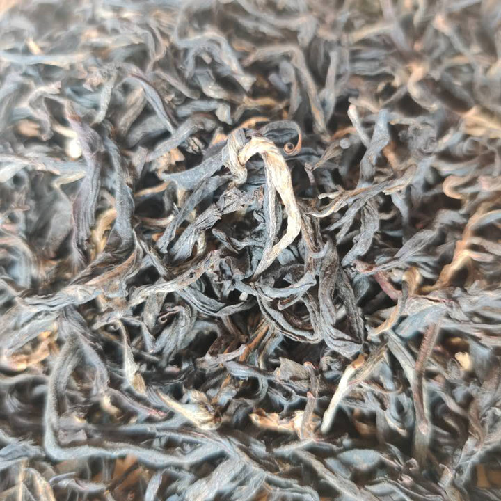 2020 Early Spring "Li Zhi Hong Cha" (Lychee Black Tea) (A Grade) HongCha, Guangdong (Canton)
