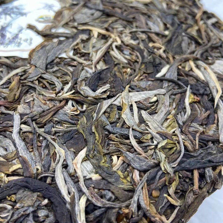 2020 TMK Autumn "Meng Ku Flavor" - RANDOM WRAPPER Cake 357g Puerh Raw Tea Sheng Cha