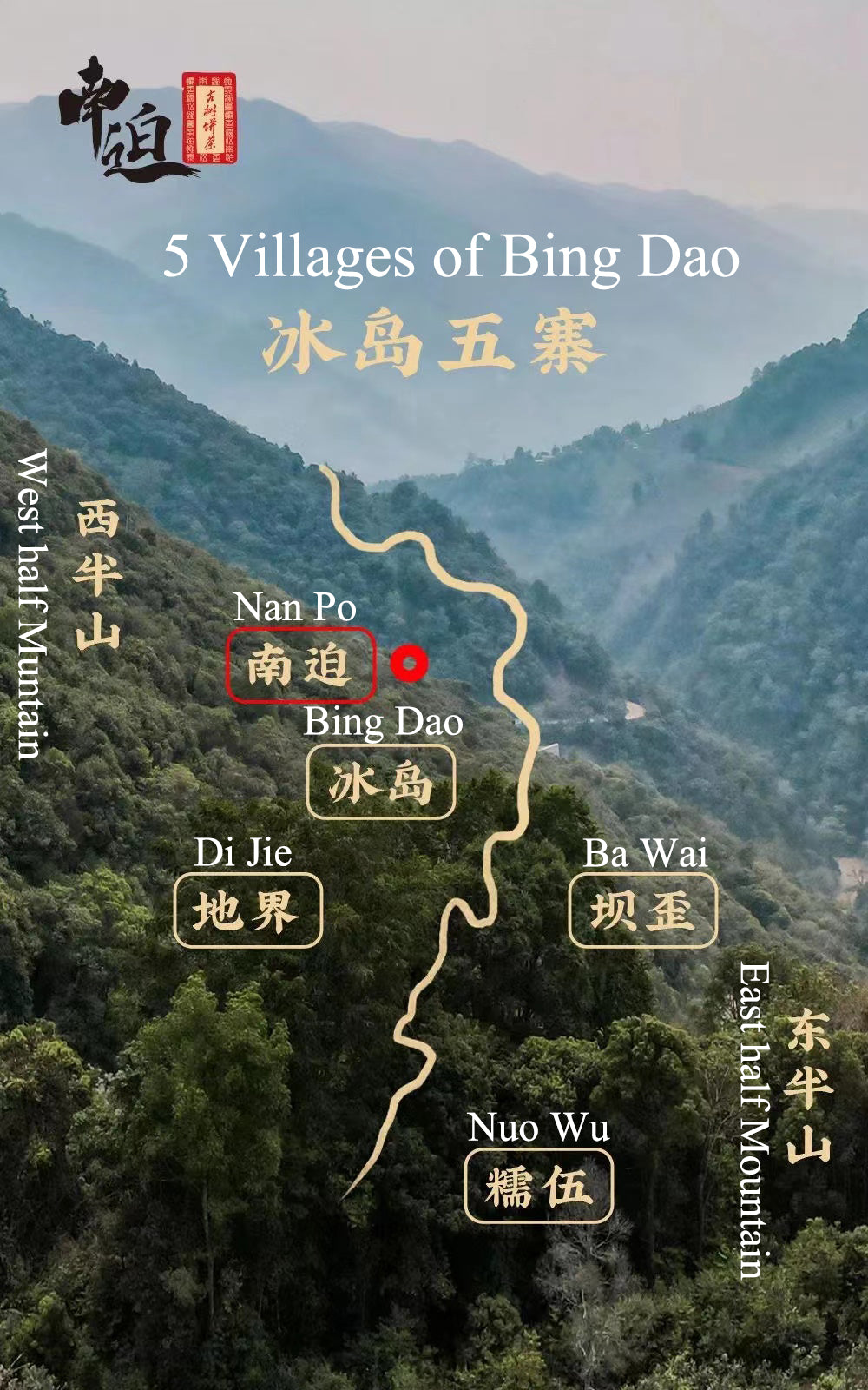 2022 Xiaguan "Nan Po - Gu Shu - Bing Dao" (Nanpo - Old Tree - Bingdao) Cake 357g Puerh Raw Tea Sheng Cha