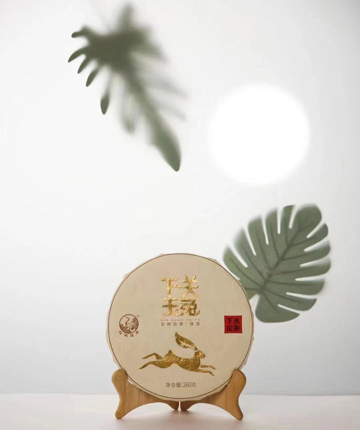 2023 XiaGuan "Yu Tu - Gu Shu" (Jade Rabbit - Old Tree) White Tea Iron Cake, Gift Boxed 260g Jinggu, Yunnan
