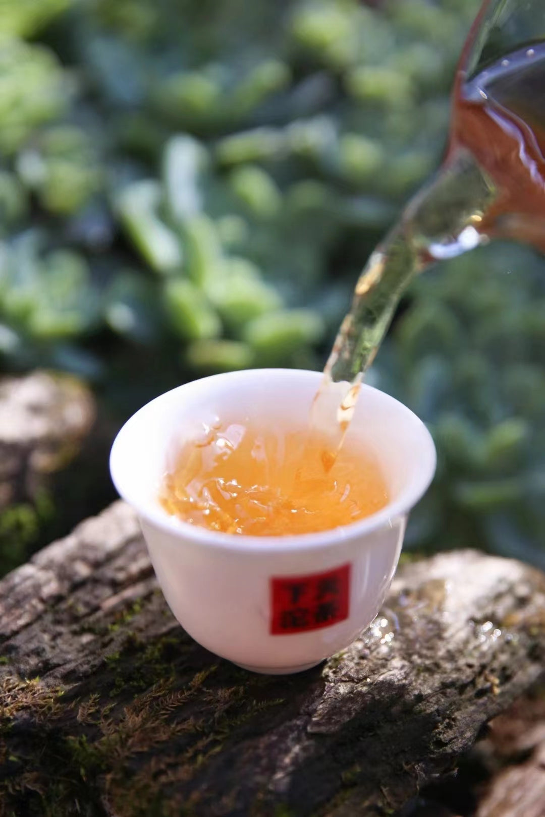 2023 XiaGuan "Yu Tu - Gu Shu" (Jade Rabbit - Old Tree) White Tea Iron Cake, Gift Boxed 260g Jinggu, Yunnan