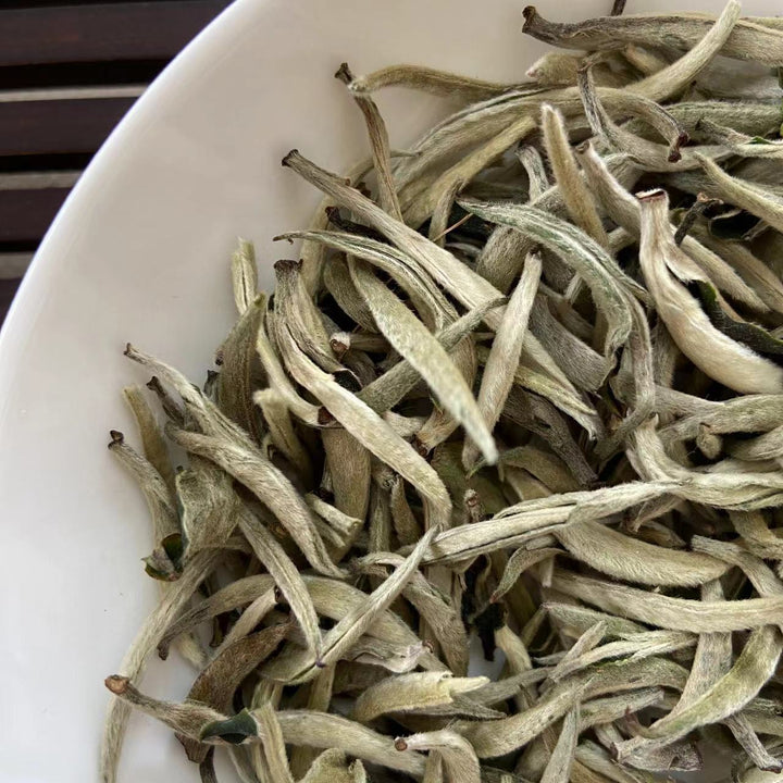2024 Early Spring White Tea "Da Bai Ya - Yue Guang Bai" (Giant White Bud - Moonlight) A++ Grade, Loose Leaf Tea, JingGu BaiCha, YunNan Province.