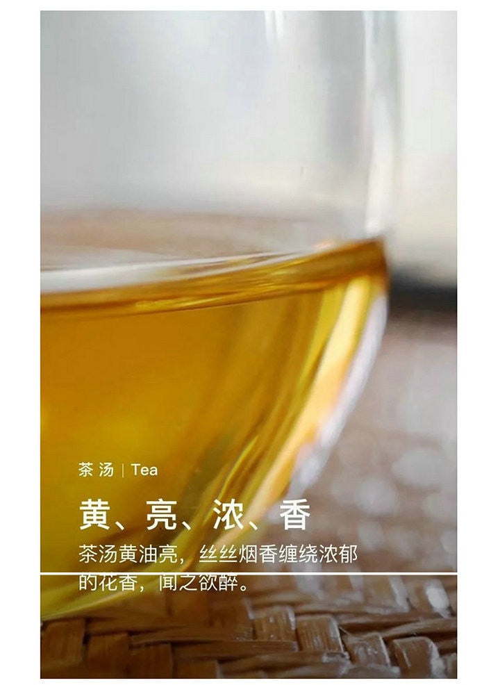 2018 DaYi "Yun Qi" (Rising Cloud) Cake 150g / 357g Puerh Sheng Cha Raw Tea