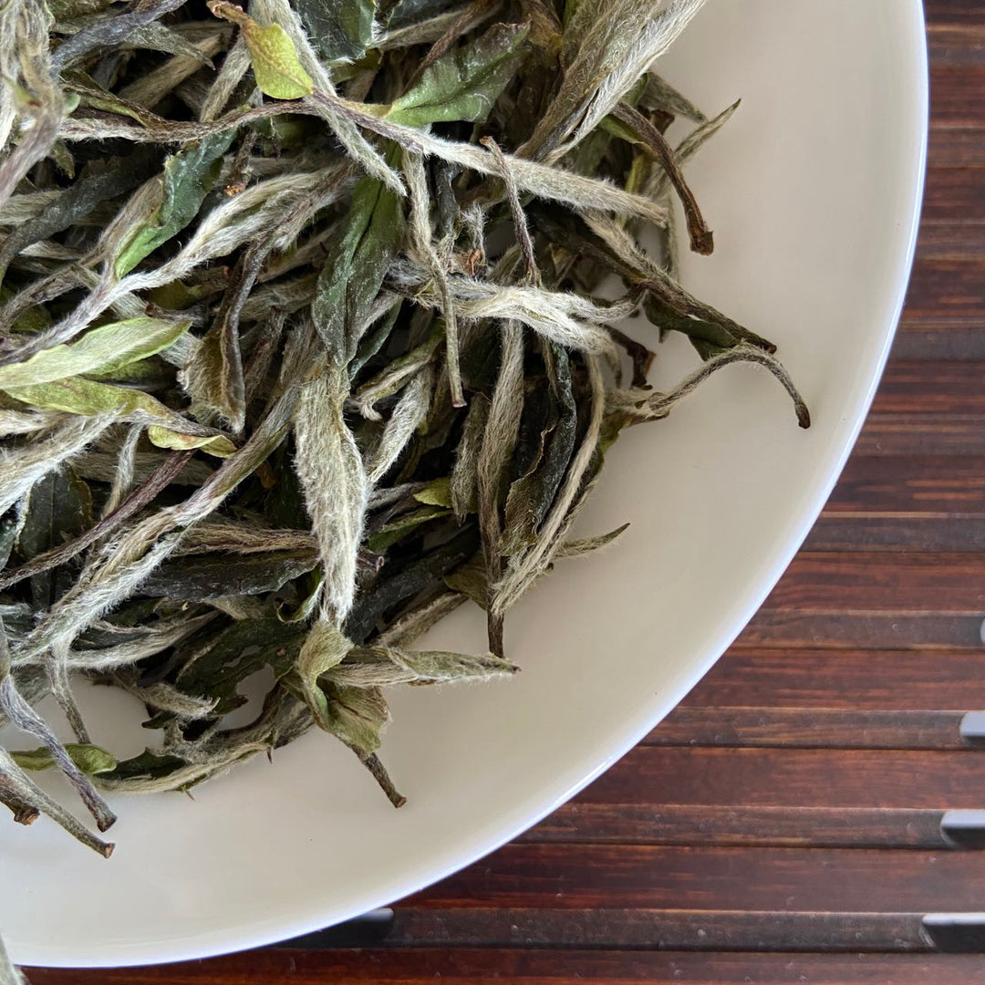 2024 Spring "Bai Mu Dan - 1 Ji" (Baimudan - 1st Grade) A++++, Loose Leaf White Tea Fuding Fujian Province