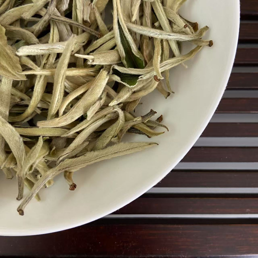 2025 Early Spring White Tea "Da Bai Ya - Yue Guang Bai" (Giant White Bud - Moonlight) A++ Grade, Loose Leaf Tea, JingGu BaiCha, YunNan Province.
