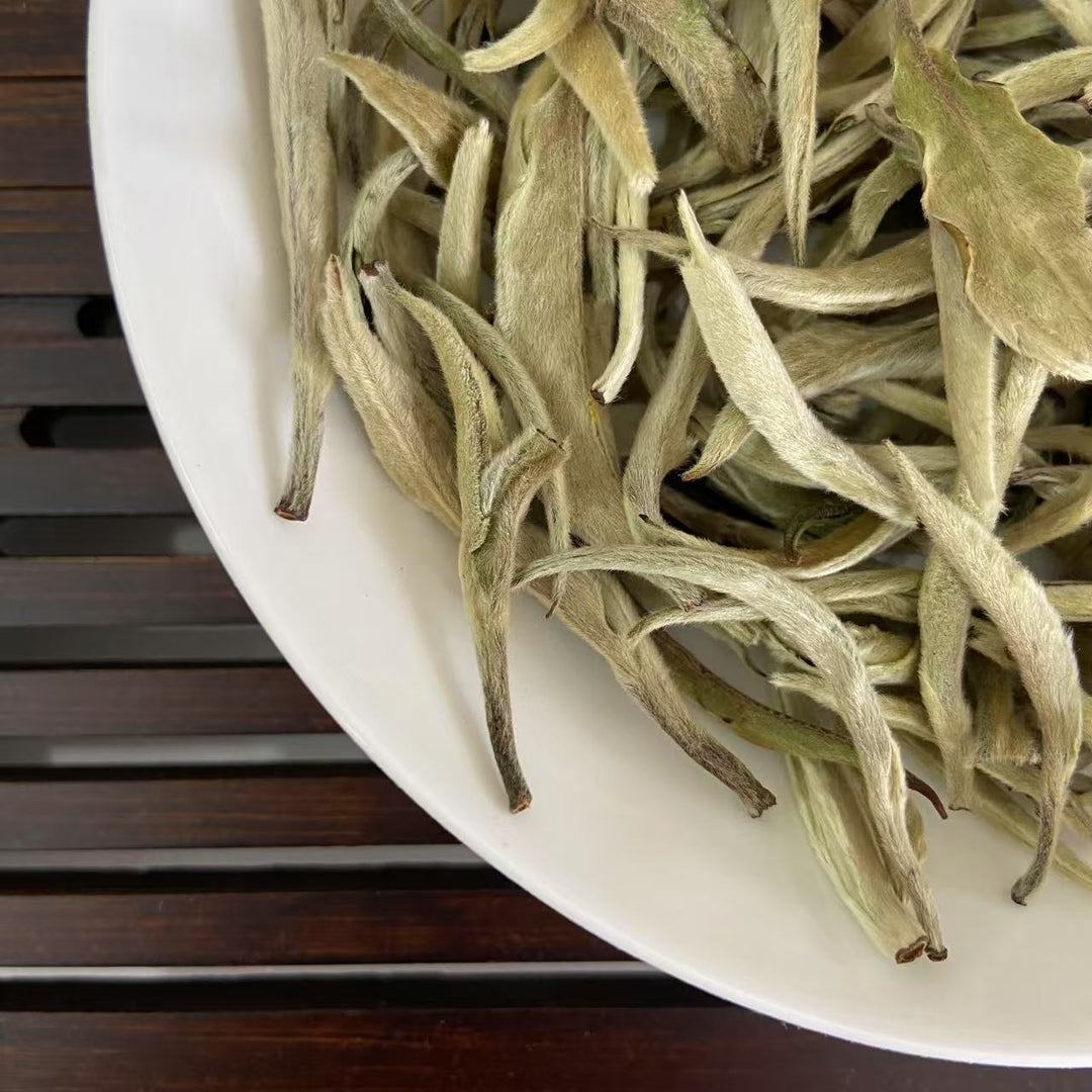 2025 Early Spring White Tea "Da Bai Ya - Yue Guang Bai" (Giant White Bud - Moonlight) A++ Grade, Loose Leaf Tea, JingGu BaiCha, YunNan Province.