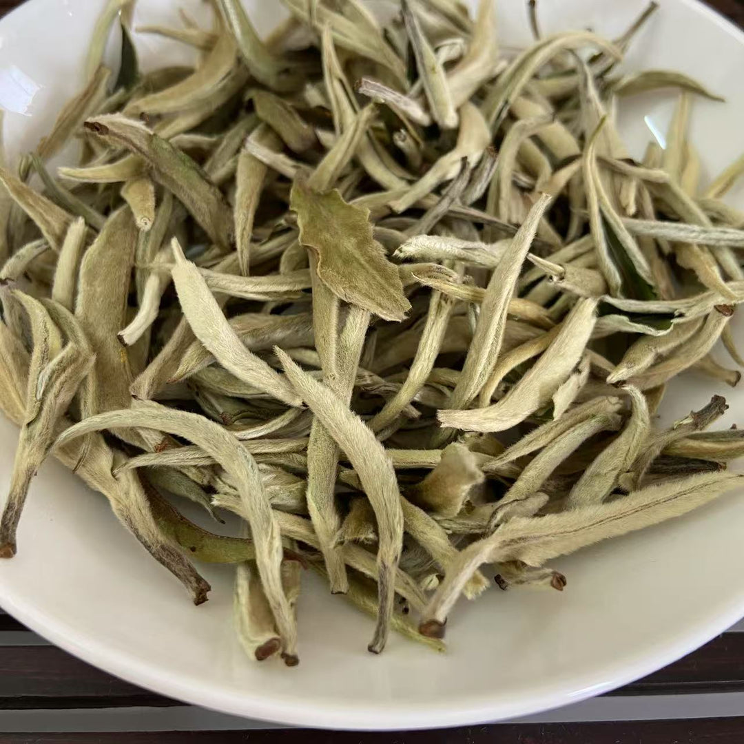 2025 Early Spring White Tea "Da Bai Ya - Yue Guang Bai" (Giant White Bud - Moonlight) A++ Grade, Loose Leaf Tea, JingGu BaiCha, YunNan Province.