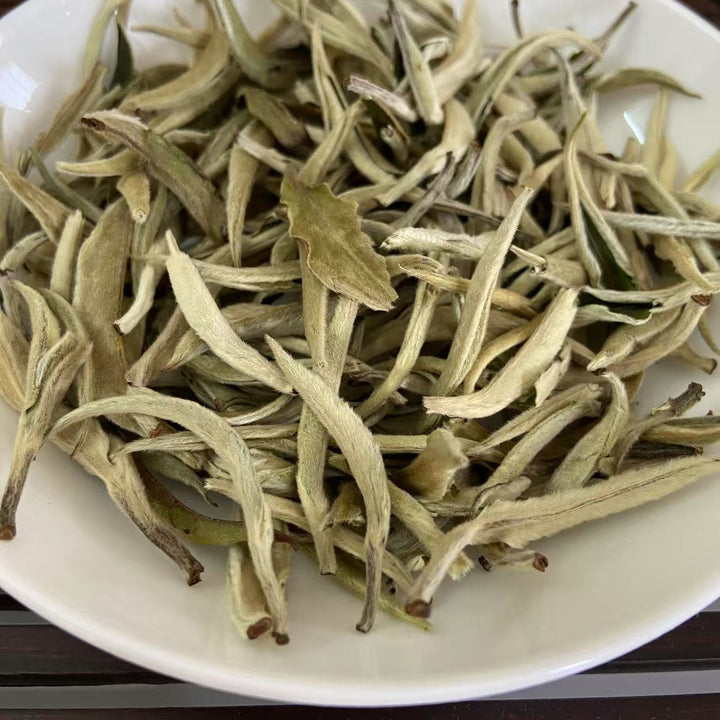 2025 Early Spring White Tea "Da Bai Ya - Yue Guang Bai" (Giant White Bud - Moonlight) A++ Grade, Loose Leaf Tea, JingGu BaiCha, YunNan Province.