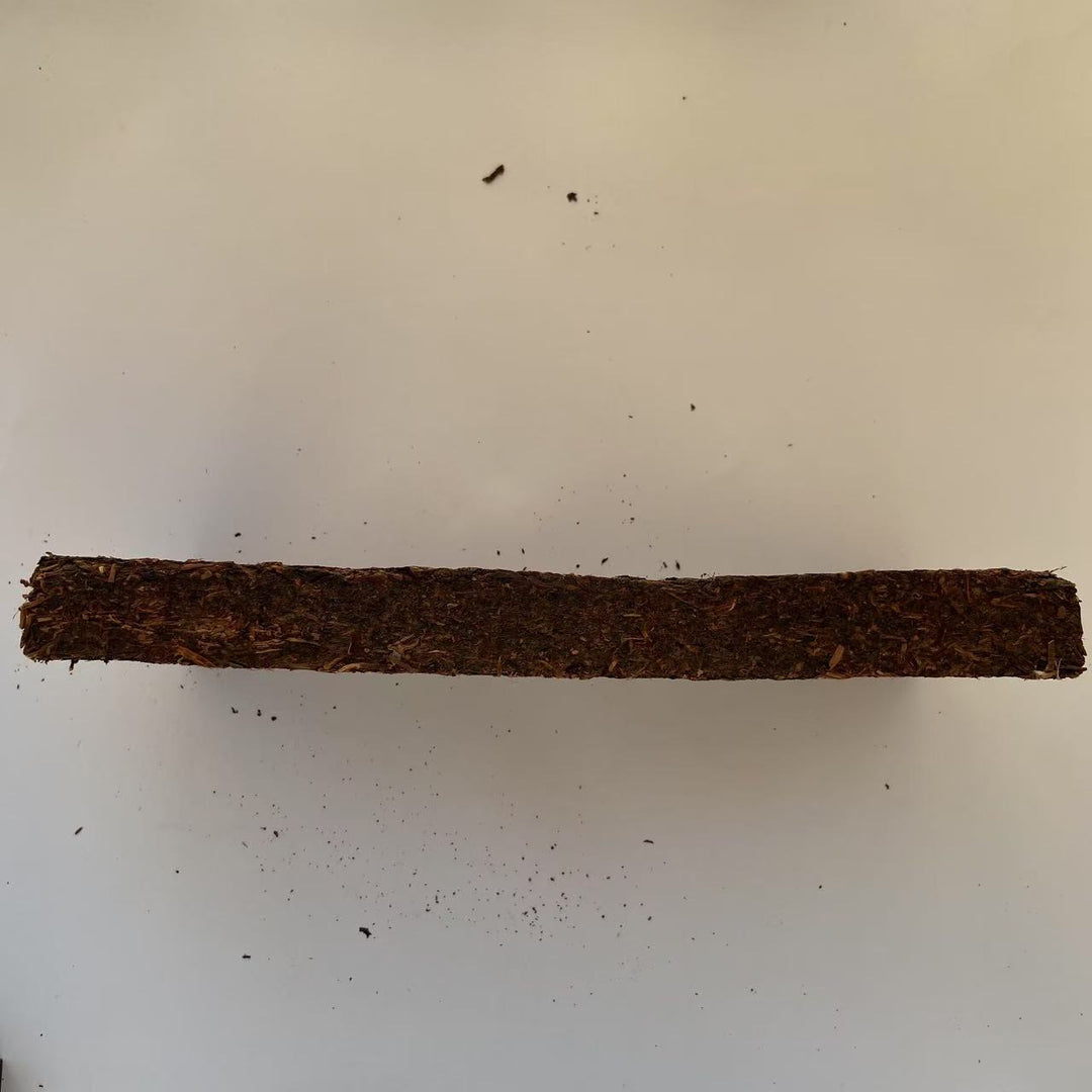 2009 Chuan "Qing Zhuan Cha" (Green Brick Tea) 1700g Dark Tea, ZhaoLiQiao Tea Factory, Hubei Province