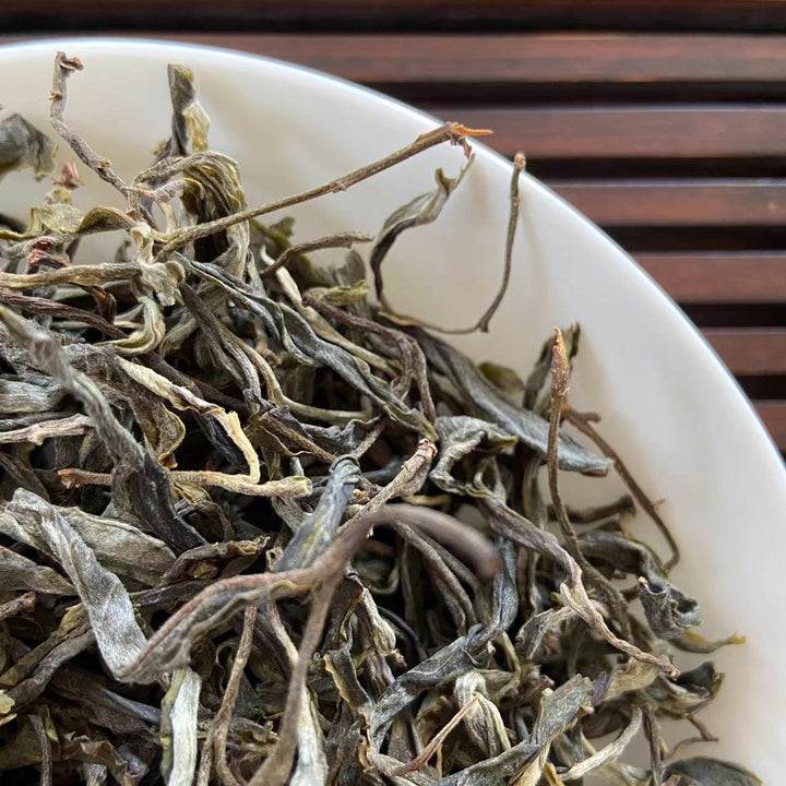 2022 TMK Early Spring "Meng Ku Gu Shu" (Mengku Old Tree) Loose Leaf Puerh Raw Tea Sheng Cha