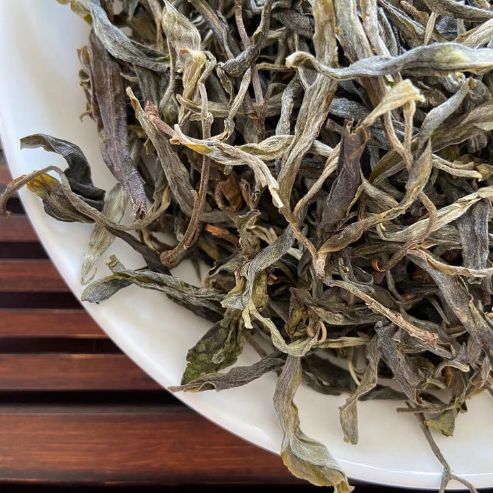 2022 TMK Early Spring "Meng Ku Gu Shu" (Mengku Old Tree) Loose Leaf Puerh Raw Tea Sheng Cha