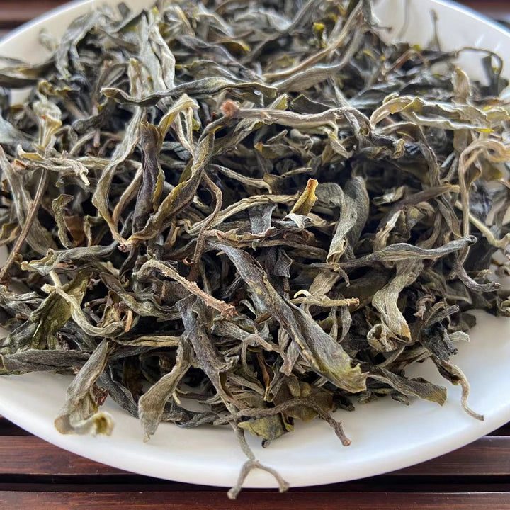 2022 TMK Early Spring "Meng Ku Gu Shu" (Mengku Old Tree) Loose Leaf Puerh Raw Tea Sheng Cha