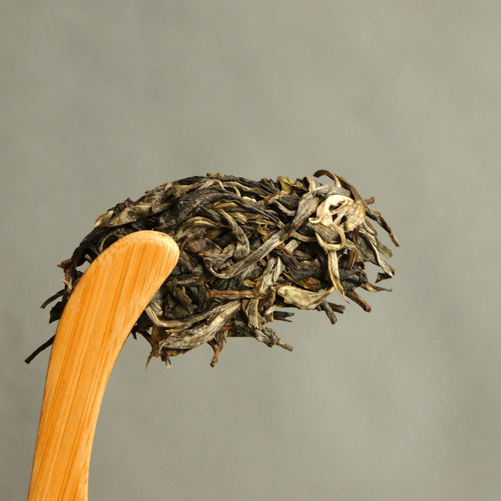 2019 TMK Spring "BU LANG GU SHU" (Bulang Padian village) 100g Cake Old Tree Puerh Sheng Cha Raw Tea.