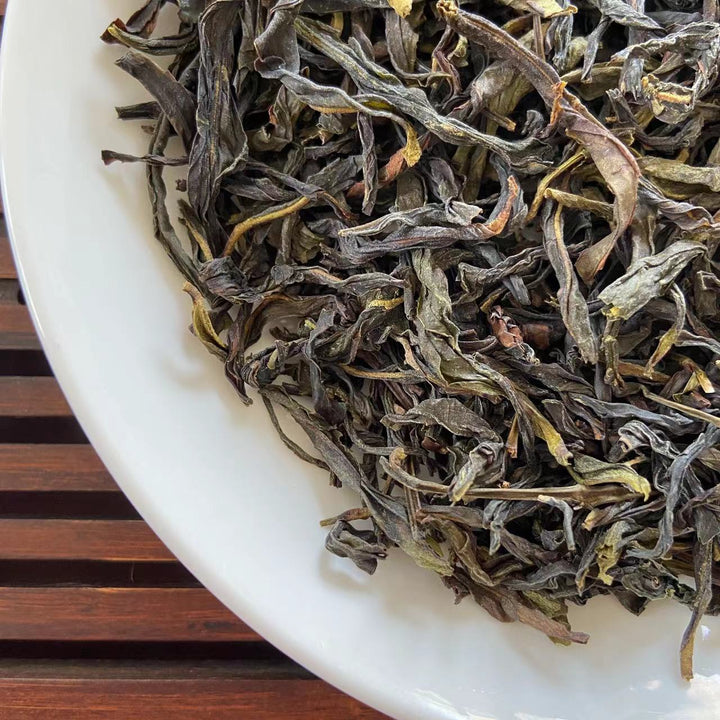 2022 Spring FengHuang DanCong Light-Medium Roasted A Grade Oolong, Loose Leaf Tea